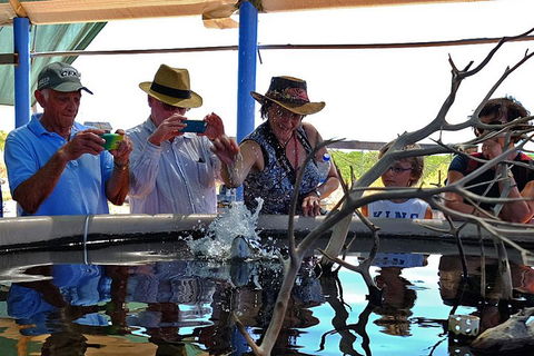 Cape Leveque 4WD Tour From Broome With Optional Return Flight - Yamba Accommodation 0