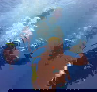 12-Day Great Barrier Reef Marine Conservation Program from Cairns - Yamba Accommodation