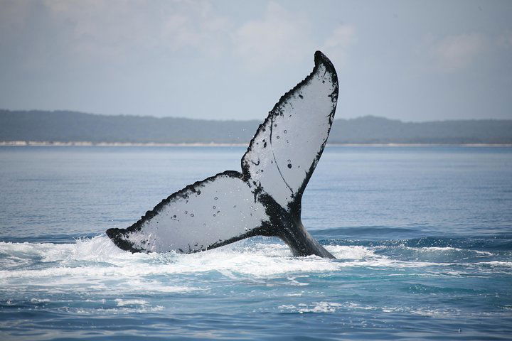 Point Vernon QLD Yamba Accommodation