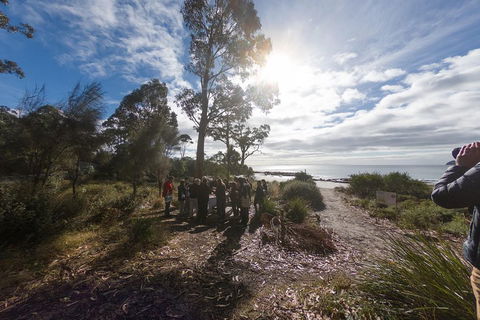 Bruny Island Day Tour, Includes Lunch And Exclusive Lighthouse Tour - Yamba Accommodation 5