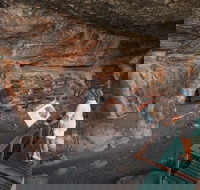 Kakadu National Park Wildlife and Ubirr Rock Art Tour from Darwin City - Yamba Accommodation