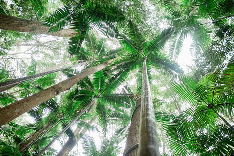 Fraser Explorer K'gari 2-Day Tour - Yamba Accommodation 2