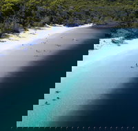 All-Inclusive Fraser Island Day Tour - Yamba Accommodation