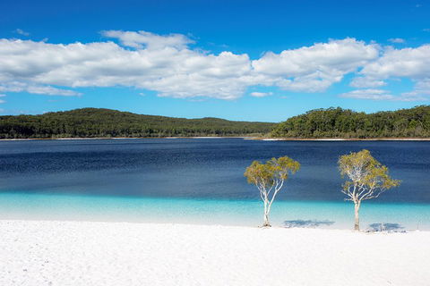 All-Inclusive Fraser Island Day Tour - Yamba Accommodation 3