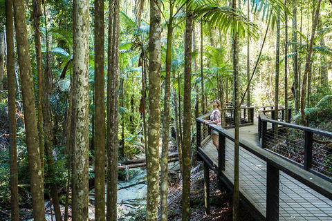 All-Inclusive Fraser Island Day Tour - Yamba Accommodation 5
