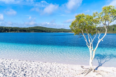 Lake McKenzie Full-Day Tour With Lunch From Hervey Bay - Yamba Accommodation 1