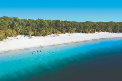 Lake McKenzie Full-Day Tour With Lunch From Hervey Bay - Yamba Accommodation 4