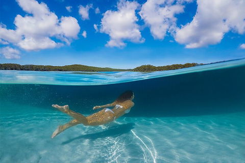 Lake McKenzie Full-Day Tour With Lunch From Hervey Bay - Yamba Accommodation 5