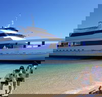 Moreton Island Day Trip Kayak Snorkel  Sandboard frm Brisbane or Gold Coast - Yamba Accommodation