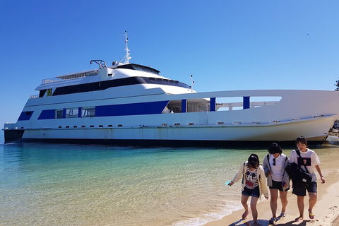 Moreton Island Day Trip (Kayak, Snorkel & Sandboard) Frm Brisbane Or Gold Coast - Yamba Accommodation 0