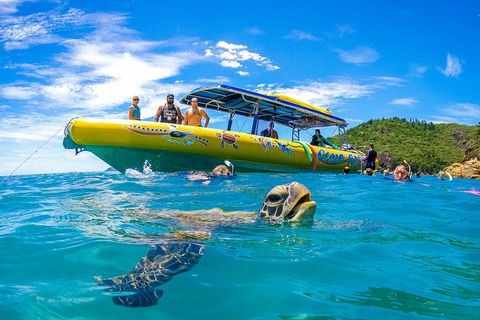Great Barrier Reef Scenic Flight And Ocean Rafting Whitehaven Beach Day Trip - Yamba Accommodation 1