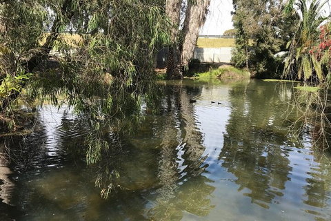 Perth East Foreshore And City Segway Tour - Yamba Accommodation 1