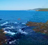 Julian Rocks Byron Bay Cruise - Yamba Accommodation