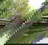 Hartley's Crocodile Adventures Breakfast with the Koalas - Yamba Accommodation