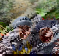 Small-Group Great Ocean Road and 12 Apostles Full-Day Tour from Melbourne - Yamba Accommodation