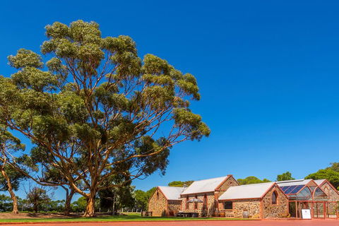 McLaren Vale And Glenelg Wine Tasting And Sightseeing (Half-day Afternoon) - Yamba Accommodation 5