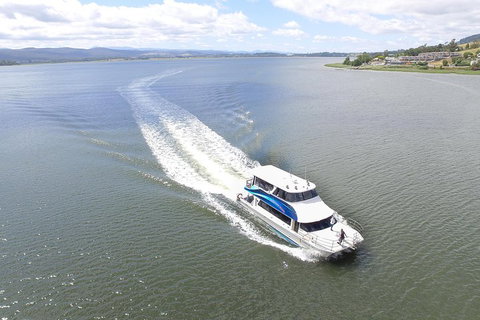 2.5 Hour Afternoon Discovery Cruise Including Cataract Gorge Departs At 1: 30 Pm - Yamba Accommodation 4