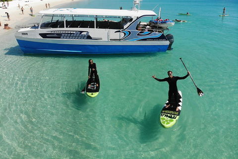 Whitsunday Bullet Day Trip - Whitehaven Beach And Snorkelling - Yamba Accommodation 4