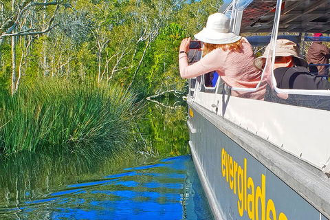 Noosa Everglades Serenity Cruise & Highlights Tour Inc. Lunch & Cruise - Yamba Accommodation 2