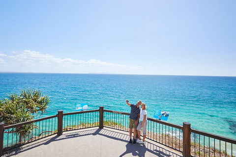 Noosa Everglades Serenity Cruise & Highlights Tour Inc. Lunch & Cruise - Yamba Accommodation 3