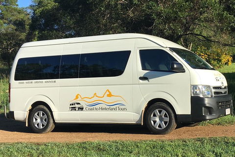 Noosa Everglades Serenity Cruise & Highlights Tour Inc. Lunch & Cruise - Yamba Accommodation 5