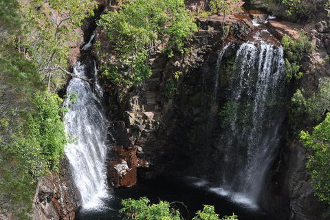 Litchfield And Jumping Crocodiles Full Day Trip From Darwin - Yamba Accommodation 2