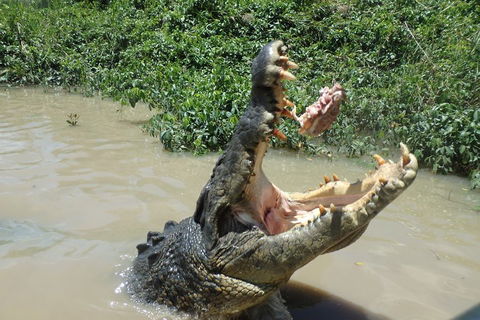 Litchfield And Jumping Crocodiles Full Day Trip From Darwin - Yamba Accommodation 3