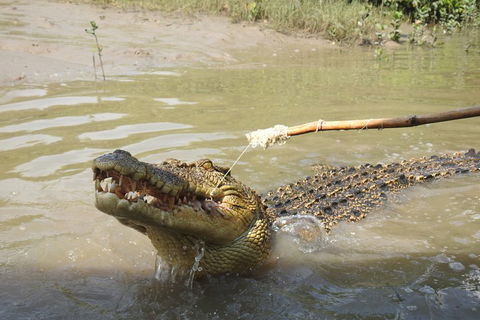 Litchfield And Jumping Crocodiles Full Day Trip From Darwin - Yamba Accommodation 4