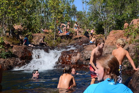 Litchfield And Jumping Crocodiles Full Day Trip From Darwin - Yamba Accommodation 5