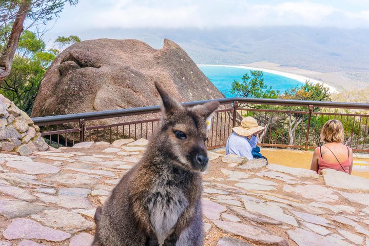  Yamba Accommodation
