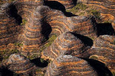 Bungle Bungle Scenic Flights, Domes & Cathedral Gorge Walk - Yamba Accommodation 4