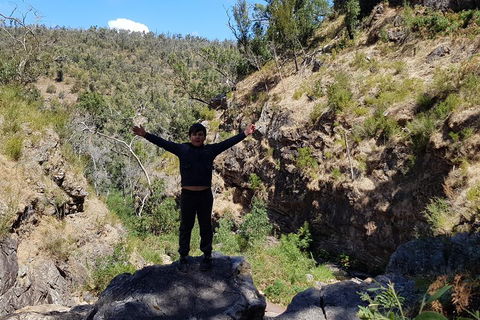 Grampians & Halls Gap - Yamba Accommodation 1