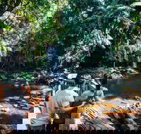 Aquaduck  Your choice of Gold Coast Rainforest Tour - Yamba Accommodation