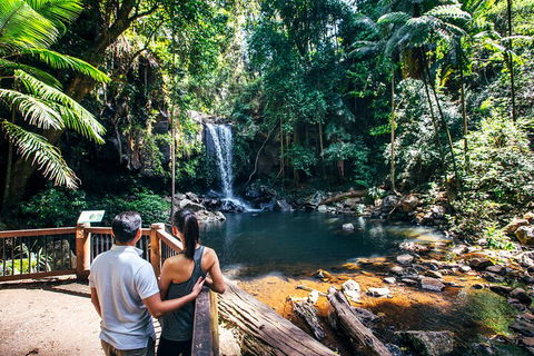 Aquaduck & Your Choice Of Gold Coast Rainforest Tour - Yamba Accommodation 0