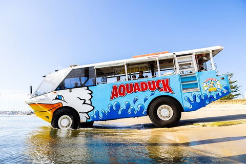 Aquaduck & Your Choice Of Gold Coast Rainforest Tour - Yamba Accommodation 3