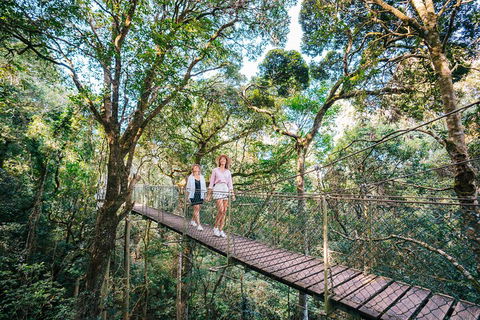 Aquaduck & Your Choice Of Gold Coast Rainforest Tour - Yamba Accommodation 4