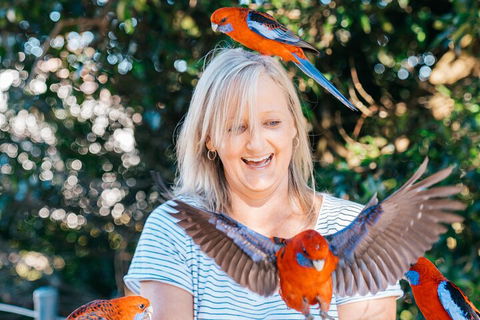 Aquaduck & Your Choice Of Gold Coast Rainforest Tour - Yamba Accommodation 5