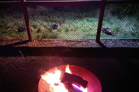 Sunset Experience - Yamba Accommodation 5