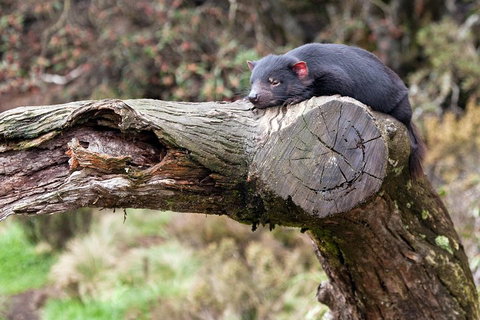 Day Keeper Tour - Yamba Accommodation 0