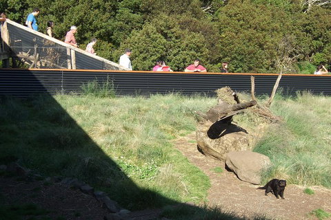 Day Keeper Tour - Yamba Accommodation 2