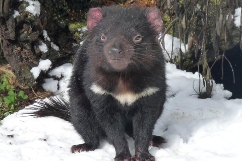 Day Keeper Tour - Yamba Accommodation 4