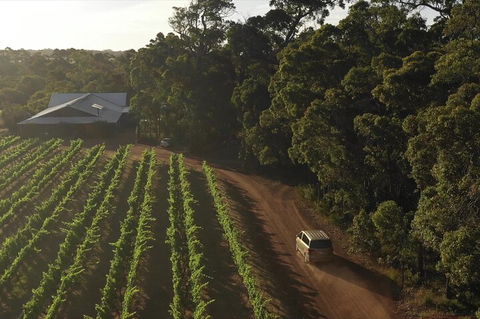 The All About Margaret River Tour: Wine, Coffee, Lunch And Forest - Yamba Accommodation 1