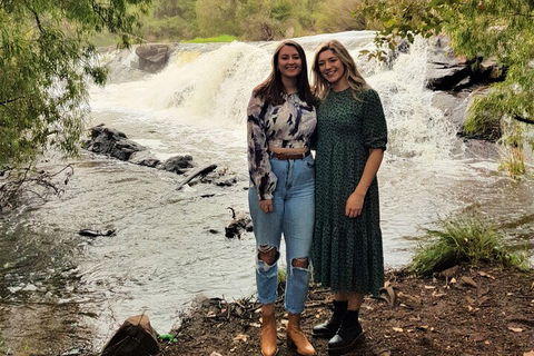 The All About Margaret River Tour: Wine, Coffee, Lunch And Forest - Yamba Accommodation 2