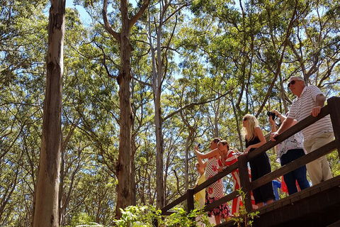 The All About Margaret River Tour: Wine, Coffee, Lunch And Forest - Yamba Accommodation 3