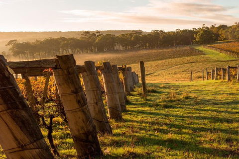 The All About Margaret River Tour: Wine, Coffee, Lunch And Forest - Yamba Accommodation 5