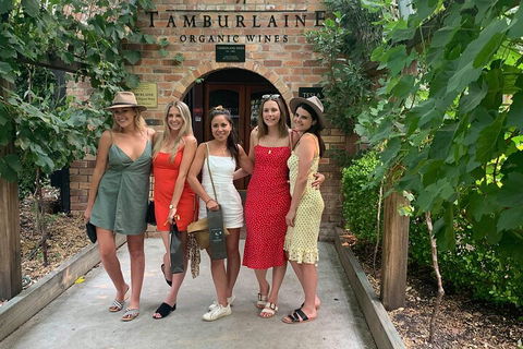 A Full Day Hunter Valley Wine Tasting Tour With Lunch And Tasting Fee's Included - Yamba Accommodation 4