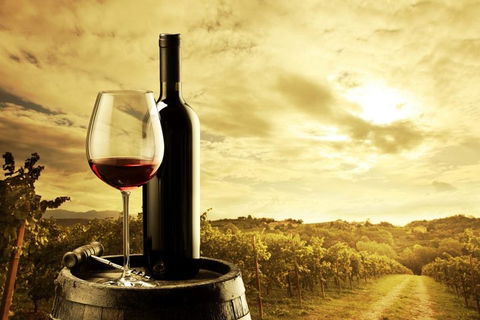 Barossa Valley Cellar Doors Luxury Wine Tour - Yamba Accommodation 0