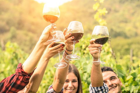 Barossa Valley Cellar Doors Luxury Wine Tour - Yamba Accommodation 1