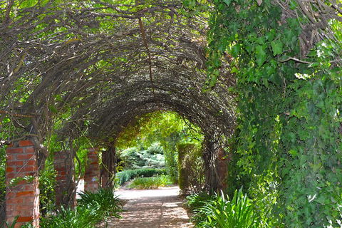 Barossa Valley Cellar Doors Luxury Wine Tour - Yamba Accommodation 3