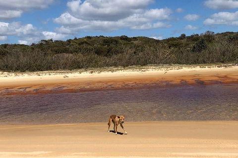 Pippies 3 Days 2 Nights Fraser Island Tour - Yamba Accommodation 2